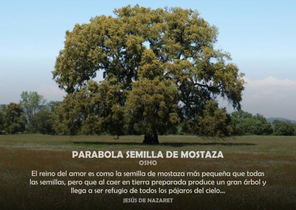 Imagen del escrito; Parábola la semilla de mostaza, de Osho