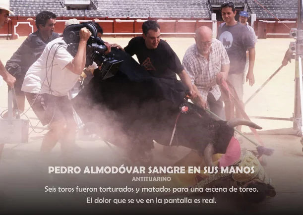 Reflexión: Pedro Almodovar sangre en sus manos - POR: ANTITAURINO