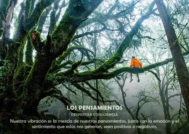 Imagen del escrito; Frases sobre los pensamientos, de Jbn Lie