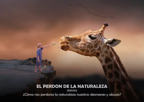 Imagen; El perdón de la naturaleza; Jebuna