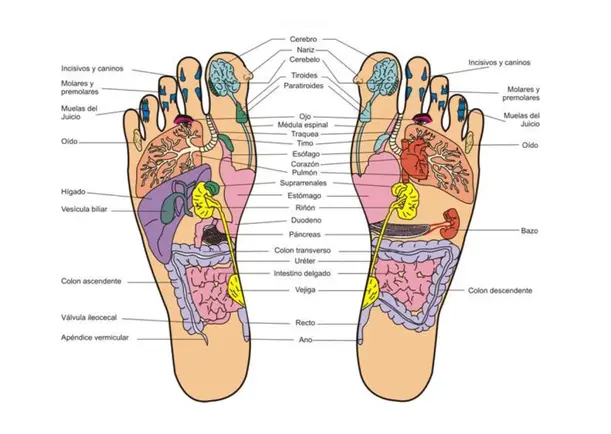 Imagen; Razones para masajear tus pies antes de dormir; Jbn Lie