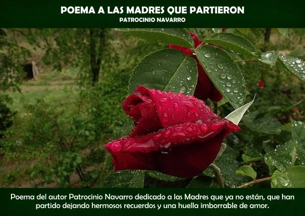 Imagen del escrito; Poema a las Madres que partieron, de Patrocinio Navarro