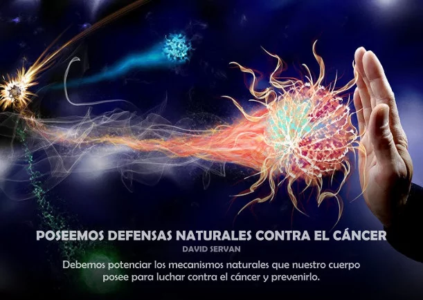 Imagen del escrito de Sobre El Cancer