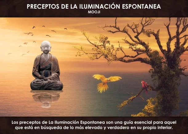 Imagen; Preceptos de la iluminación espontanea; Mooji