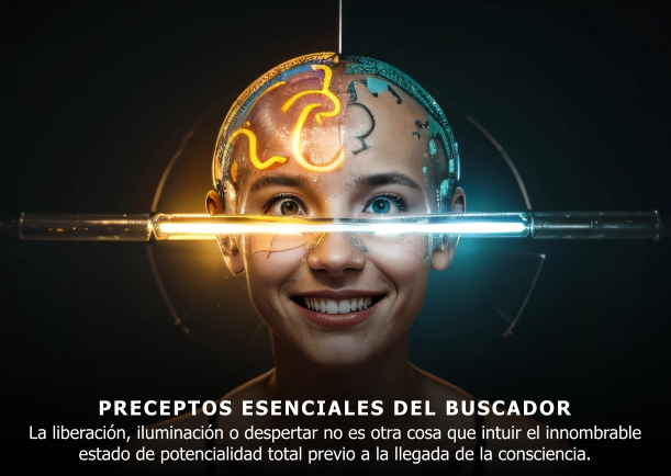 Imagen; Preceptos esenciales del buscador; Ramesh Balsekar