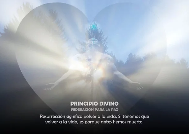 Principio divino - POR: FEDERACION PARA LA PAZ