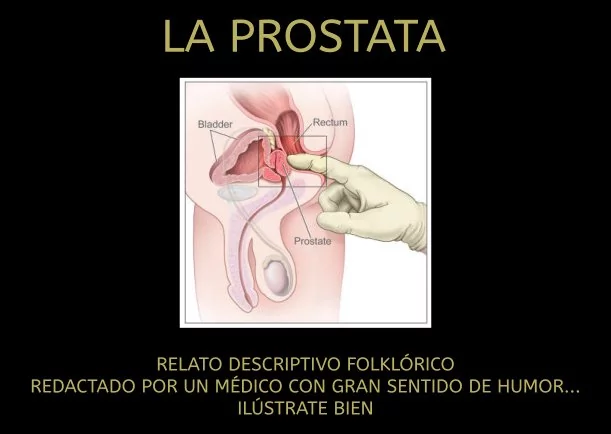 Imagen del escrito; La próstata, de Sobre La Salud