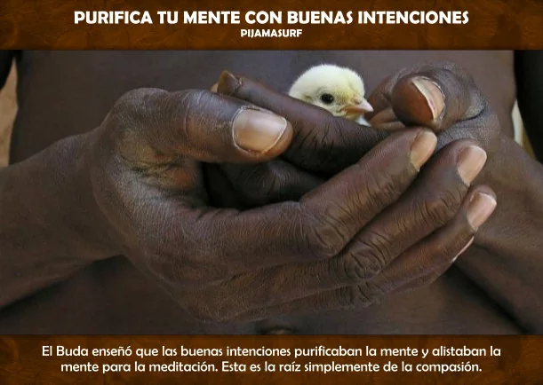 Purifica tu mente con buenas intenciones - POR: PIJAMASURF