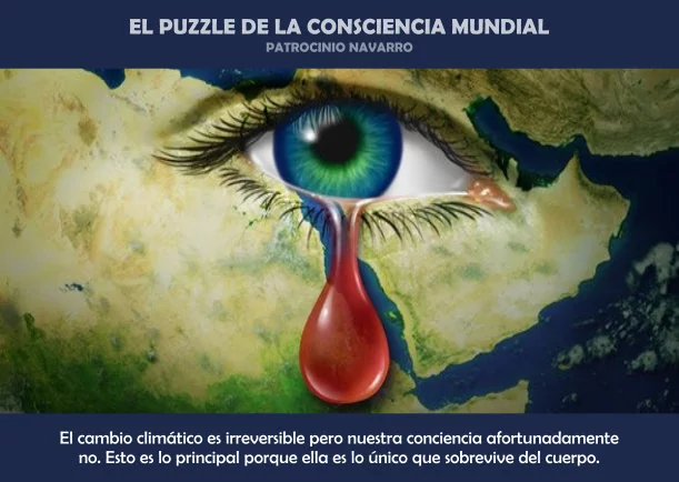 Imagen del escrito; El puzle de la consciencia mundial, de Patrocinio Navarro