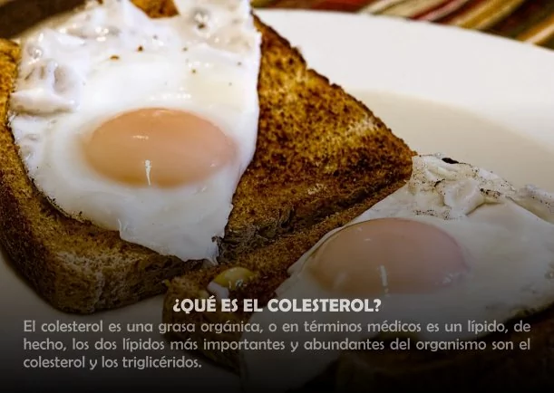 Imagen del escrito; ¿Qué es el colesterol?, de Sobre La Salud