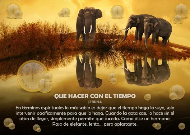 Imagen; Que hacer con el tiempo; Jebuna