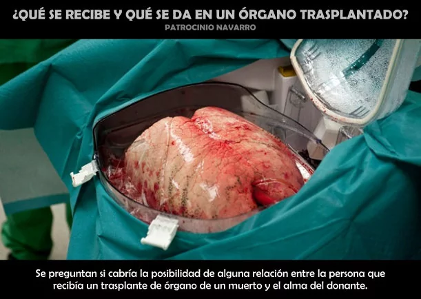 Imagen del escrito; ¿Qué se recibe y da en un órgano trasplantado?, de Patrocinio Navarro