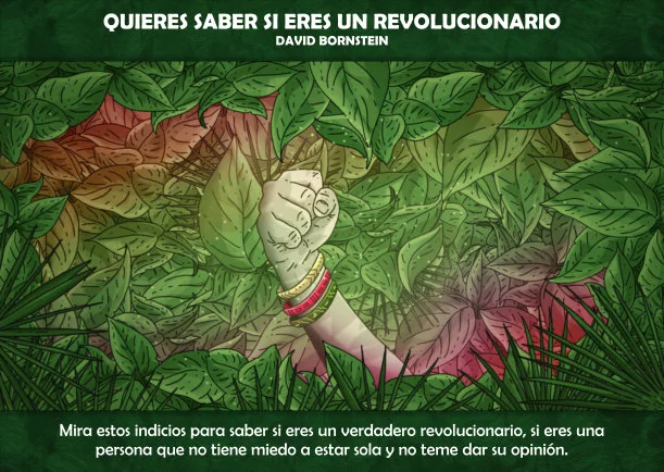 Imagen del escrito; Quieres saber si eres un revolucionario, de David Bornstein