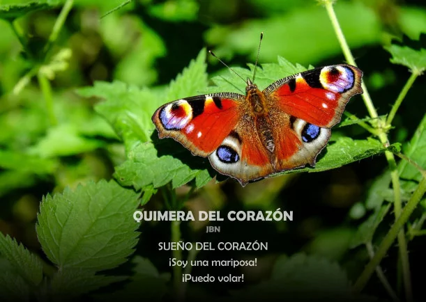 Quimera del corazón - POR: OSHO