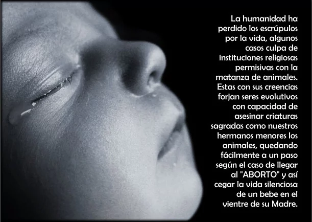 Imagen; Reflexión sobre el aborto; Jbn Lie