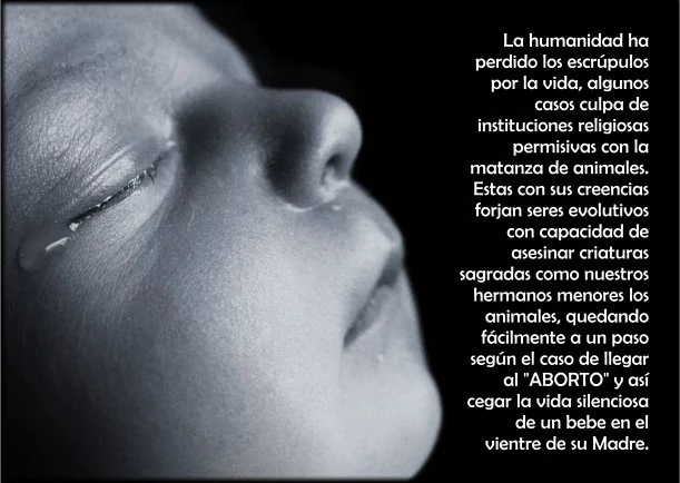 Imagen del escrito; Reflexión sobre el aborto, de Jbn Lie