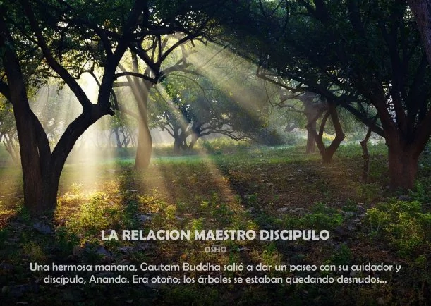 Imagen; La relación Maestro discípulo; Osho