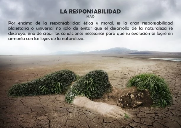 Reflexión: La responsabilidad - POR: MAURICIO AMAYA