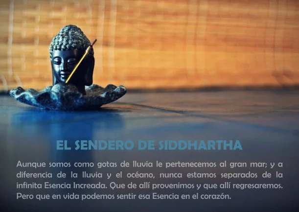 Imagen del escrito; El sendero de Siddhartha, de Nota Biografica