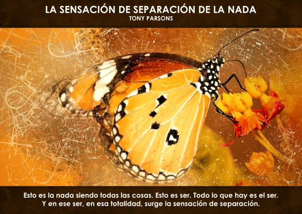 Imagen; La sensación de separación de la nada; Tony Parsons