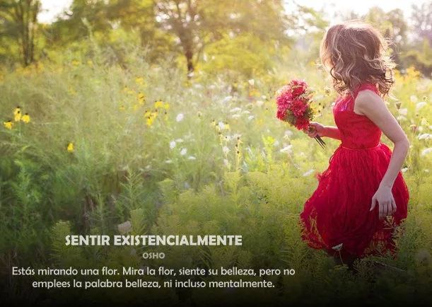 Imagen; Sentir existencialmente; Osho