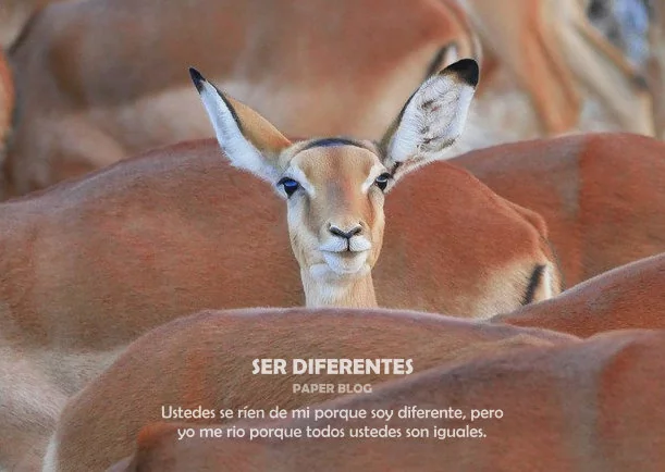 Imagen; Ser diferentes; Akashicos