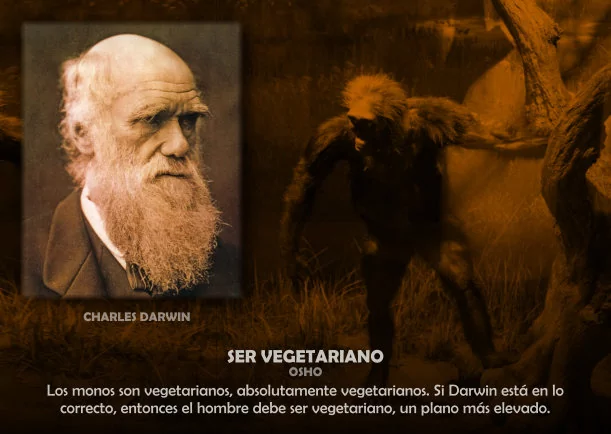 Imagen del escrito; Ser vegetariano, de Osho