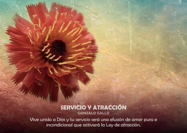 Servicio y atracción - POR: GONZALO GALLO