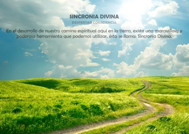 Imagen del escrito; Frases sobre la sincronía divina, de Jbn Lie