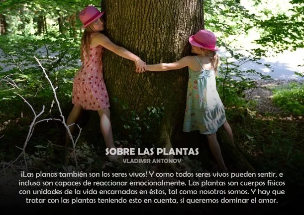 Imagen; Sobre las arboles; Vladimir Antonov