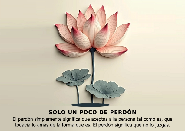 Imagen del escrito; Solo un poco de perdón, de Osho