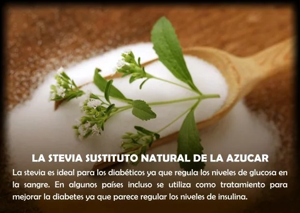 Imagen; La Stevia sustituto natural de la azúcar; Mario Chaves