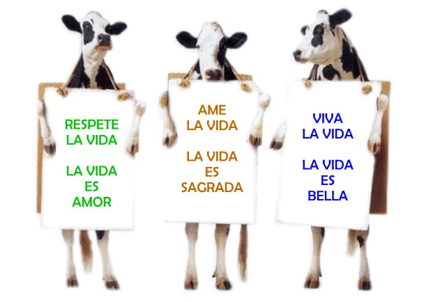 Imagen del escrito; Sufrimiento energía vital carnívoros, de Jbn Lie