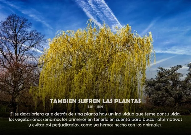 Link del escrito de Sobre La Naturaleza