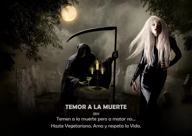 Imagen; Temor a la muerte; Jbn Lie