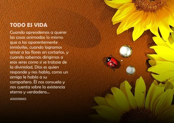 Imagen; Todo es vida; Osho