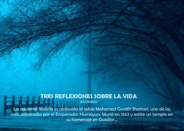 Imagen; Tres reflexiones sobre la vida; Sobre La Vida