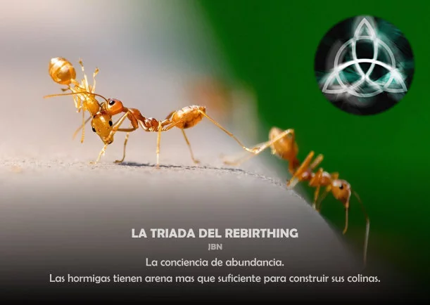 Imagen del escrito; La triada del Rebirthing, de Jbn Lie