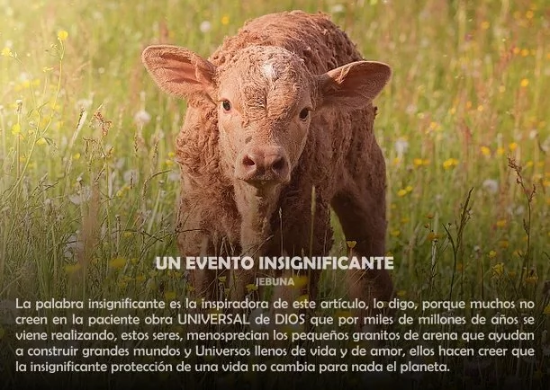 Imagen del escrito; Un evento insignificante, de Jebuna