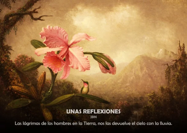 Imagen del escrito; Unas reflexiones, de Jbn Lie