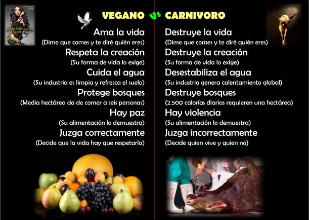 Imagen del escrito; Veganos vs. carnívoros, de Jbn Lie