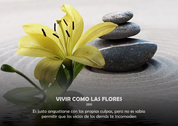 Imagen del escrito; Vivir como las flores, de Anthony De Mello