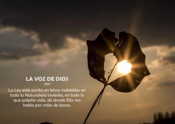 Imagen del escrito; Voz de Dios, de La Biblia