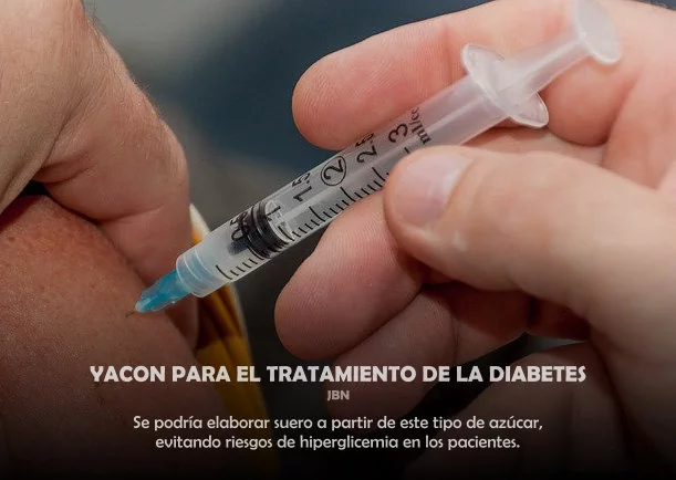 Imagen del escrito; Yacon para el tratamiento de la diabetes, de Akashicos