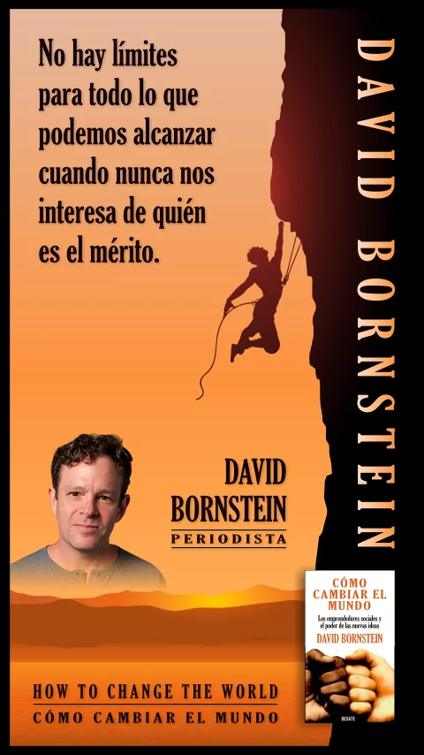 Imagen de la frase de david bornstein