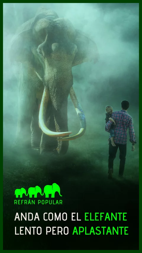 Imagen de la frase: Anda como el elefante, lento pero aplastante.