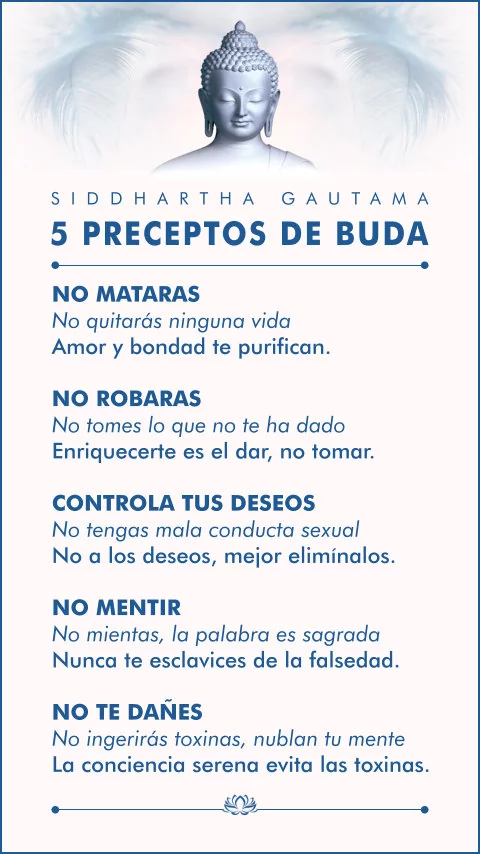 Imagen de la frase: Ver imagen preceptos