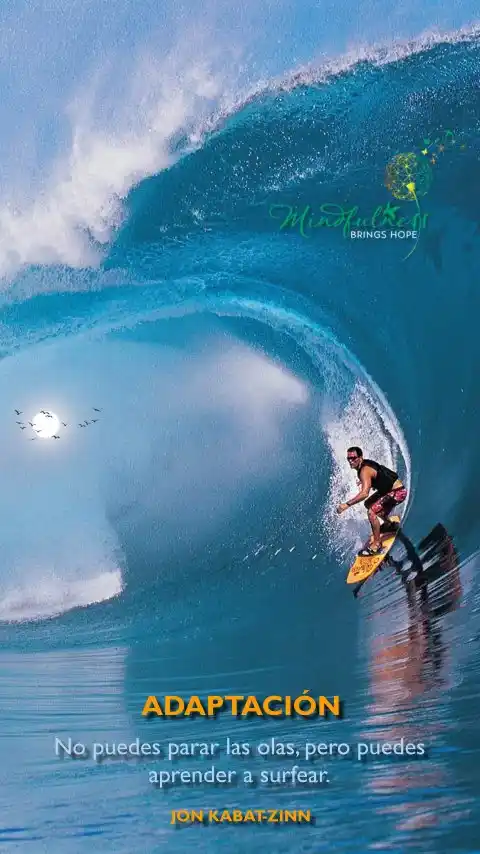 Imagen de la frase: No puedes parar las olas, pero puedes aprender a surfear.