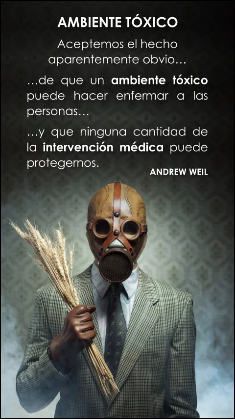 Imagen de la frase: Aceptemos el hecho aparentemente obvio de que un ambiente tóxico puede hacer enfermar a las personas y que ninguna cantidad de la intervención médica puede protegernos.