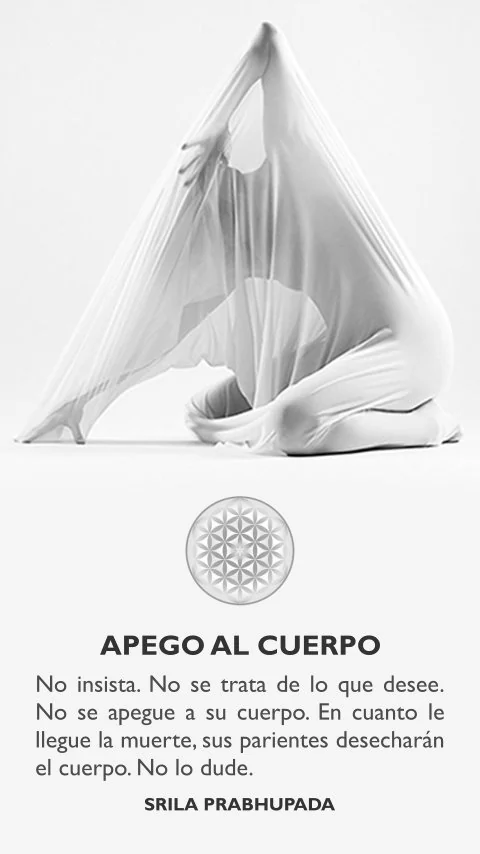 Imagen de la frase: No insista. No se trata de lo que desee. No se apegue a su cuerpo. En cuanto le llegue la muerte, sus parientes desecharán el cuerpo. No lo dude.